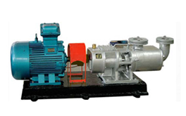 2GaRT-系列高温粘胶输送泵产品图1
