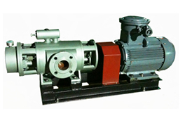 2GbS-系列双螺杆泵产品图1