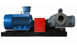 2GaS-系列双螺杆泵产品图2